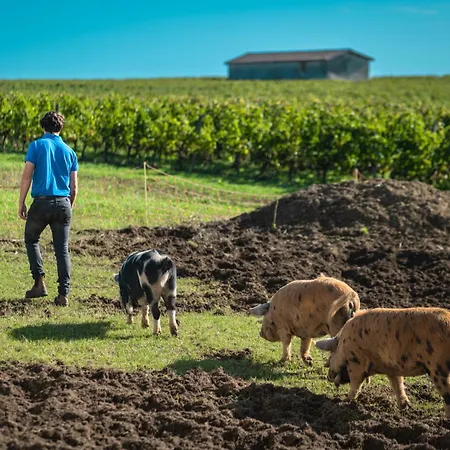 Chateau Doyac Nyaraló