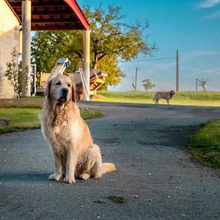 Chateau Doyac Saint-Seurin-de-Cadourne