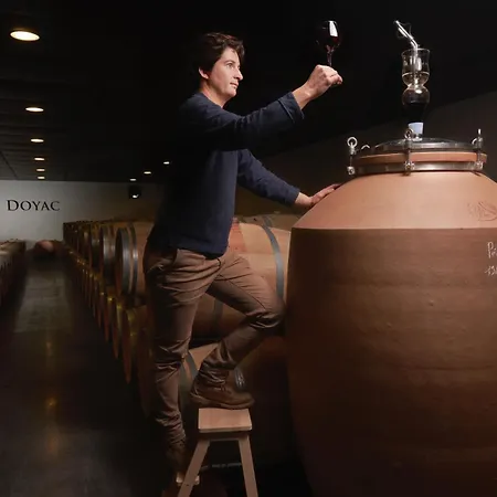 Chateau Doyac * Saint-Seurin-de-Cadourne