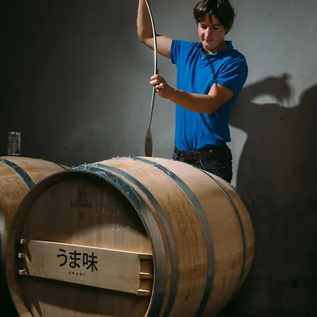 Nyaraló Chateau Doyac