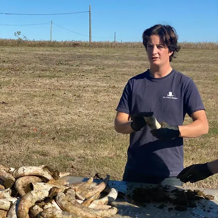 Nyaraló Chateau Doyac *