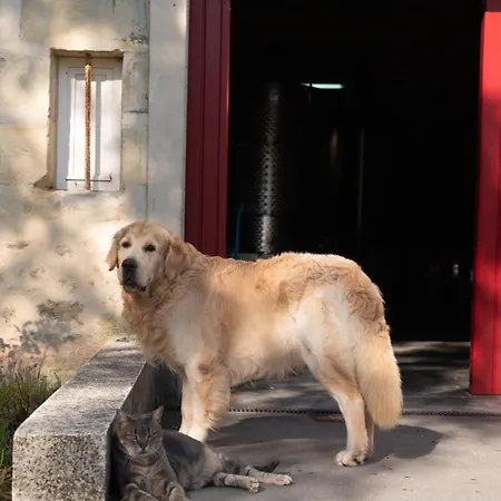 Nyaraló Chateau Doyac Saint-Seurin-de-Cadourne