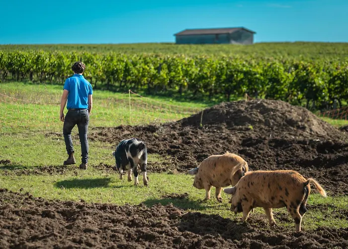Chateau Doyac Tatil Evi