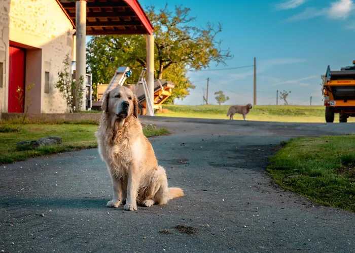 Chateau Doyac Saint-Seurin-de-Cadourne