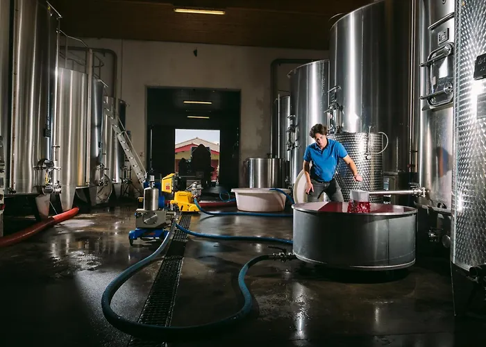 Tatil Evi Chateau Doyac Saint-Seurin-de-Cadourne