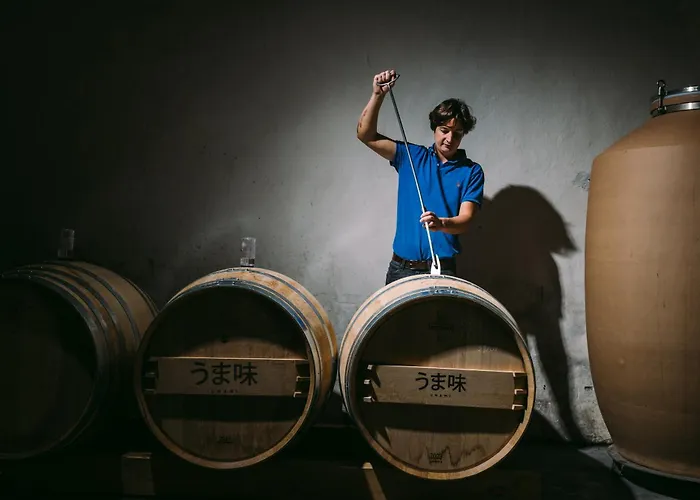 Tatil Evi Chateau Doyac Saint-Seurin-de-Cadourne