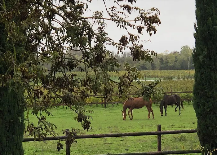 Chateau Doyac * Saint-Seurin-de-Cadourne