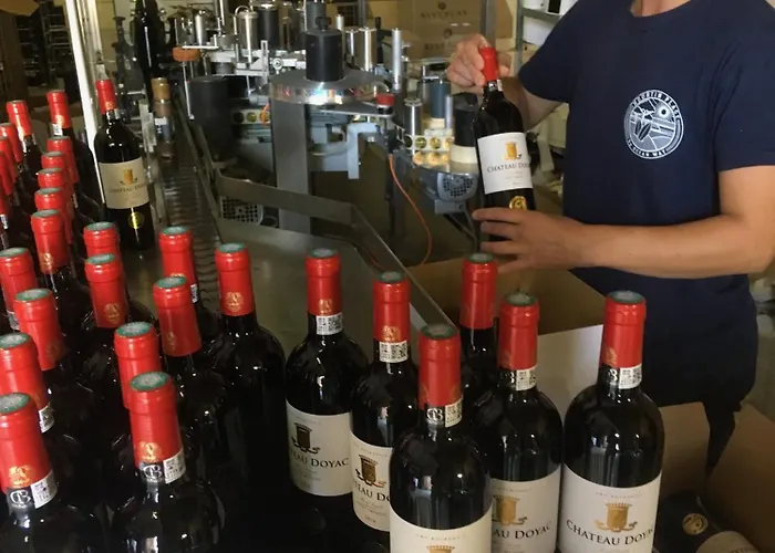 Chateau Doyac Saint-Seurin-de-Cadourne