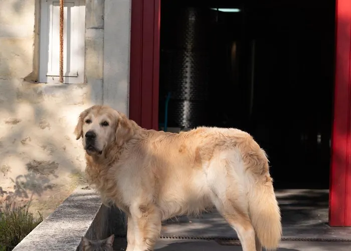 Tatil Evi Chateau Doyac Saint-Seurin-de-Cadourne