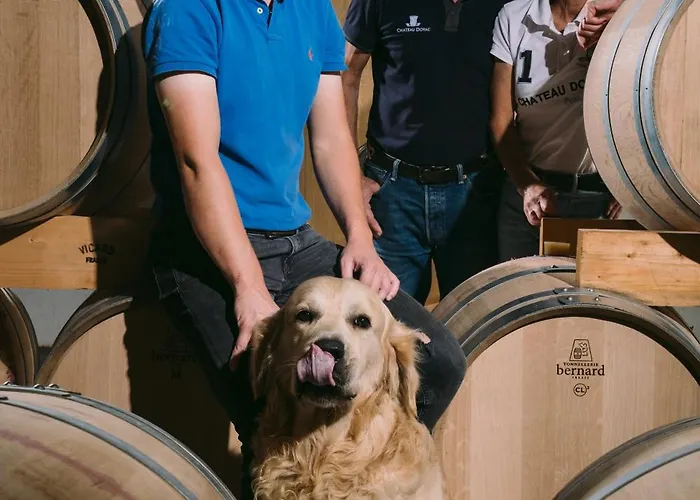 Chateau Doyac Saint-Seurin-de-Cadourne